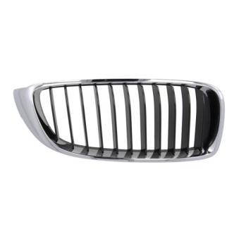 Grille de radiateur BLIC 6502-07-0070992P