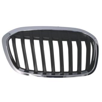 Grille de radiateur avant droit BLIC 6502-07-0071994P