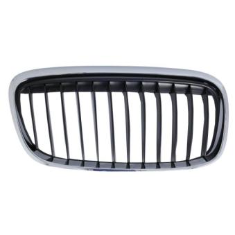 Grille de radiateur avant droit BLIC 6502-07-0071996LP