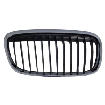 Grille de radiateur avant droit BLIC [6502-07-0071996SP]
