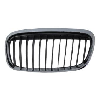 Grille de radiateur avant gauche BLIC 6502-07-0071997SP