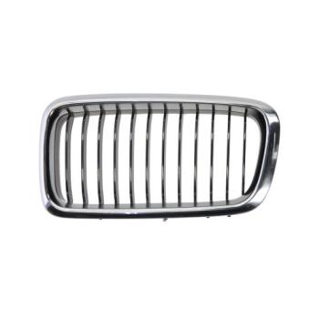 Grille de radiateur BLIC 6502-07-0075995P