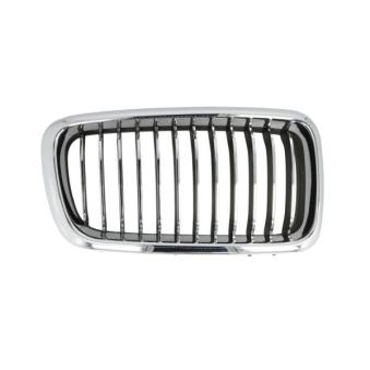 Grille de radiateur avant droit BLIC [6502-07-0075996PP]