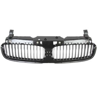 Grille de radiateur BLIC 6502-07-0076991P Grille de radiateur BLIC 6502-07-0076991P