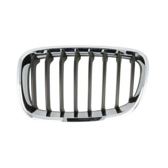 Grille de radiateur avant gauche BLIC [6502-07-0086995P]