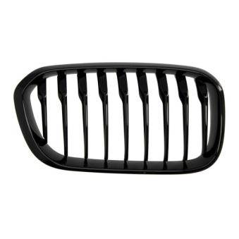 Grille de radiateur avant droit BLIC [6502-07-0086998P]