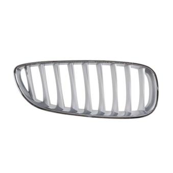 Grille de radiateur avant droit BLIC 6502-07-0089998P