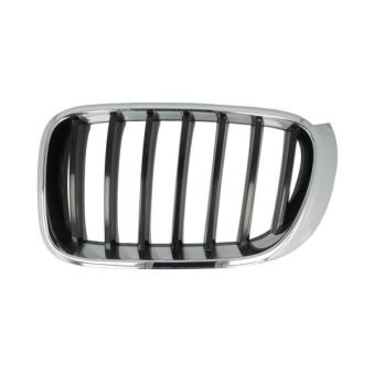 Grille de radiateur avant gauche BLIC [6502-07-00939933P]