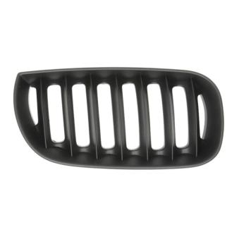 Grille de radiateur BLIC 6502-07-0093996P Grille de radiateur BLIC 6502-07-0093996P