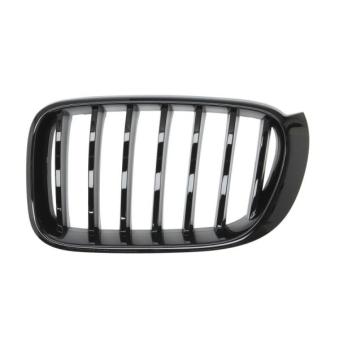 Grille de radiateur avant gauche BLIC [6502-07-00939977P]