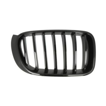 Grille de radiateur avant droit BLIC [6502-07-00939988P]