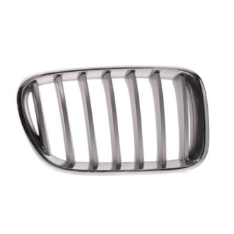 Grille de radiateur BLIC [6502-07-0093998P]