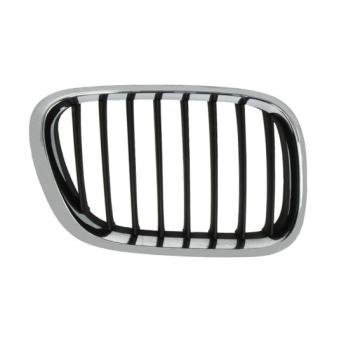 Grille de radiateur BLIC 6502-07-0095994P