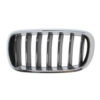 Grille de radiateur avant gauche BLIC 6502-07-00969911P pour BMW X6 xDrive 35 i - 326cv
