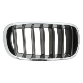 Grille de radiateur avant droit BLIC 6502-07-00969922P pour BMW X6 xDrive 35 i - 326cv