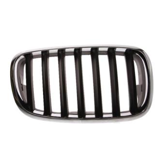 Grille de radiateur BLIC 6502-07-0096992P