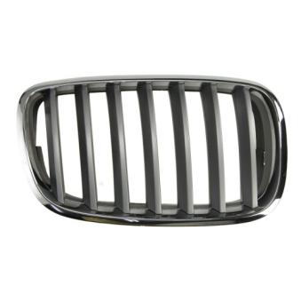 Grille de radiateur BLIC 6502-07-0096992PP