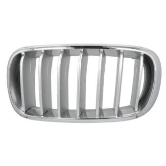 Grille de radiateur avant gauche BLIC 6502-07-00969955P pour BMW X6 xDrive 35 i - 326cv