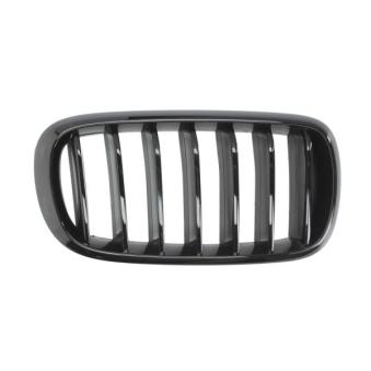 Grille de radiateur avant droit BLIC 6502-07-00969988P