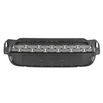 Grille de radiateur BLIC 6502-07-0533990P