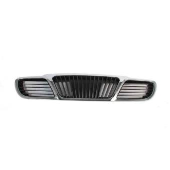 Grille de radiateur BLIC [6502-07-1106990P]
