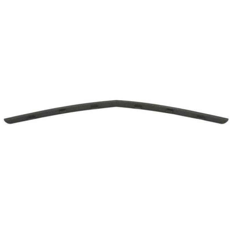 Baguette et bande protectrice, grille de radiateur BLIC 6502-07-1189994P - Visuel 1