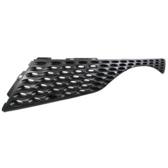 Grille de radiateur BLIC 6502-07-1601991P