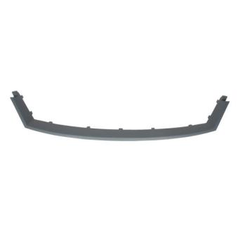 Grille de radiateur BLIC 6502-07-2555991P