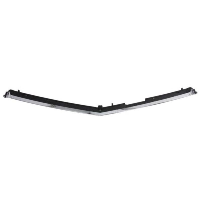 Baguette et bande protectrice, grille de radiateur BLIC 6502-07-3529990P - Visuel 1