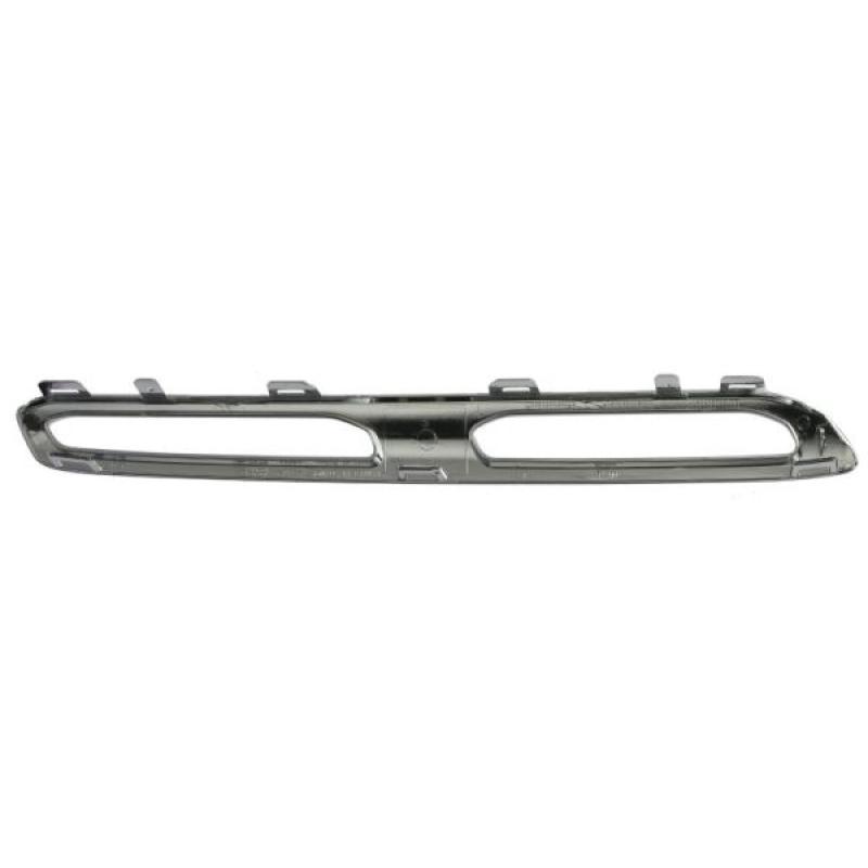 Baguette et bande protectrice, grille de radiateur BLIC 6502-07-3554995P - Visuel 1