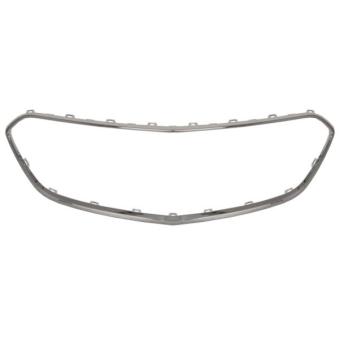 Baguette et bande protectrice, grille de radiateur BLIC 6502-07-5029912P