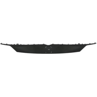 Grille de radiateur BLIC 6502-07-5041990P
