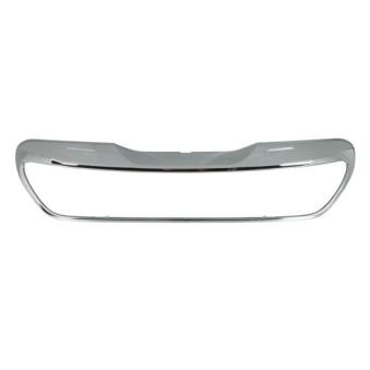 Cadre, grille de radiateur BLIC [6502-07-5504991P]
