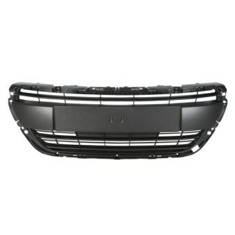 Grille de radiateur BLIC [6502-07-5509992P]