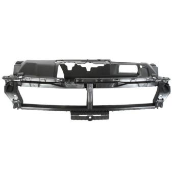 Support, grille de radiateur BLIC 6502-07-5519993P