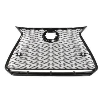 Grille de radiateur BLIC 6502-07-8268991P