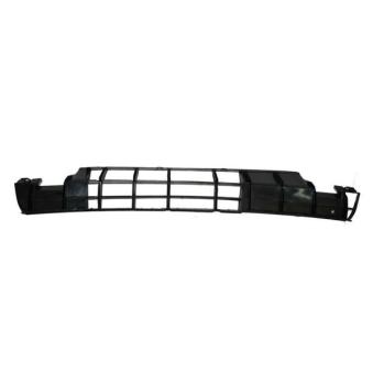 Grille de radiateur BLIC OEM 357853677B