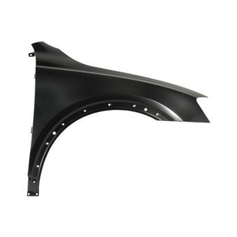 Aile avant droit BLIC [6504-04-0033312P]