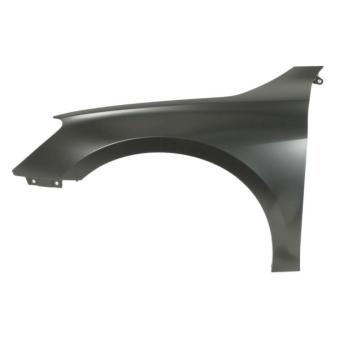 Aile BLIC OEM 8y0821105b