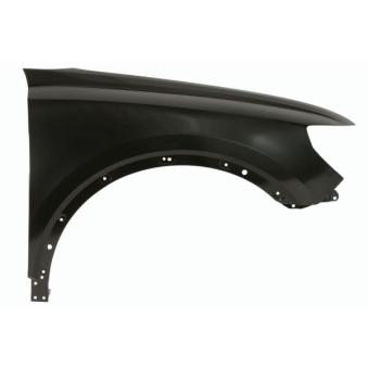 Aile avant droit BLIC [6504-04-0044312P]