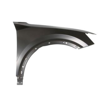 Aile avant droit BLIC 6504-04-0046312P