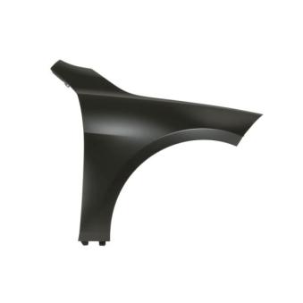 Aile avant droit BLIC [6504-04-0073312P]