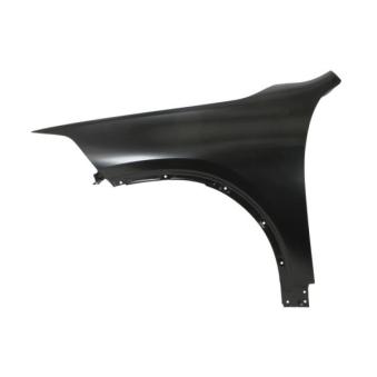 Aile avant gauche BLIC [6504-04-0082315P]