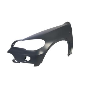 Aile avant gauche BLIC 6504-04-0096313P