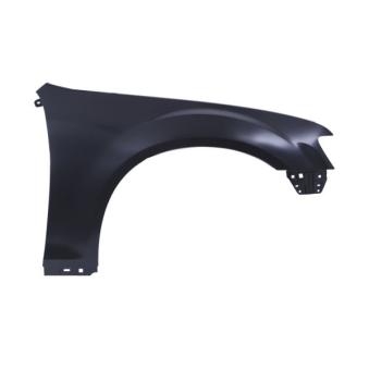 Aile avant droit BLIC 6504-04-0939312P