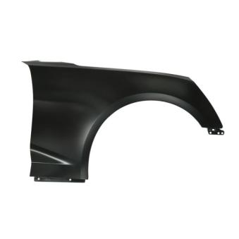 Aile avant droit BLIC 6504-04-1196312P