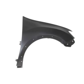 Aile avant droit BLIC 6504-04-1303322P