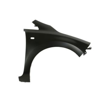 Aile avant droit BLIC 6504-04-1602312P