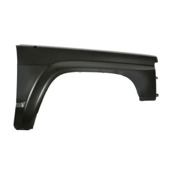 Aile avant droit BLIC 6504-04-1646312P