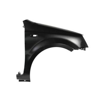 Aile avant droit BLIC 6504-04-2008312Q